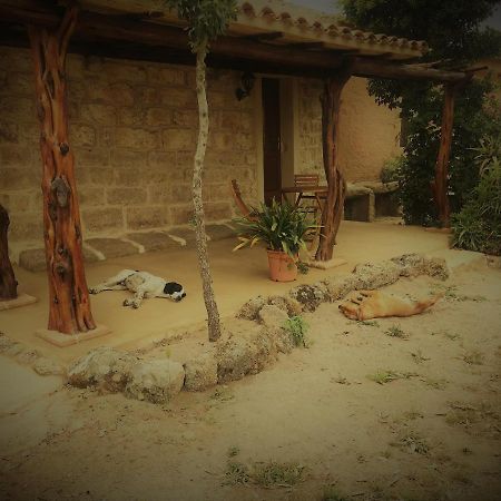 Bed and Breakfast Li Casacci Arzachena Exteriér fotografie